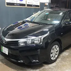 Hood & Bumper PPF — Honda Civic