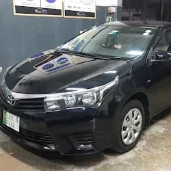 Hood & Bumper PPF — Honda Civic